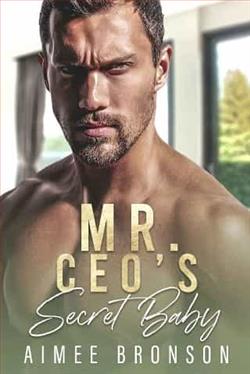 Mr. CEO's Secret Baby by Aimee Bronson