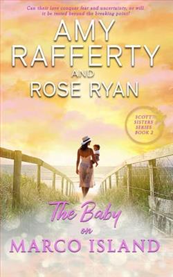 The Baby on Marco Island by Amy Rafferty