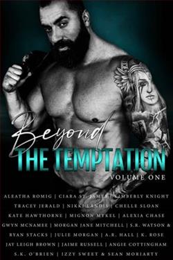 Beyond the Temptation: Vol 1 by Aleatha Romig